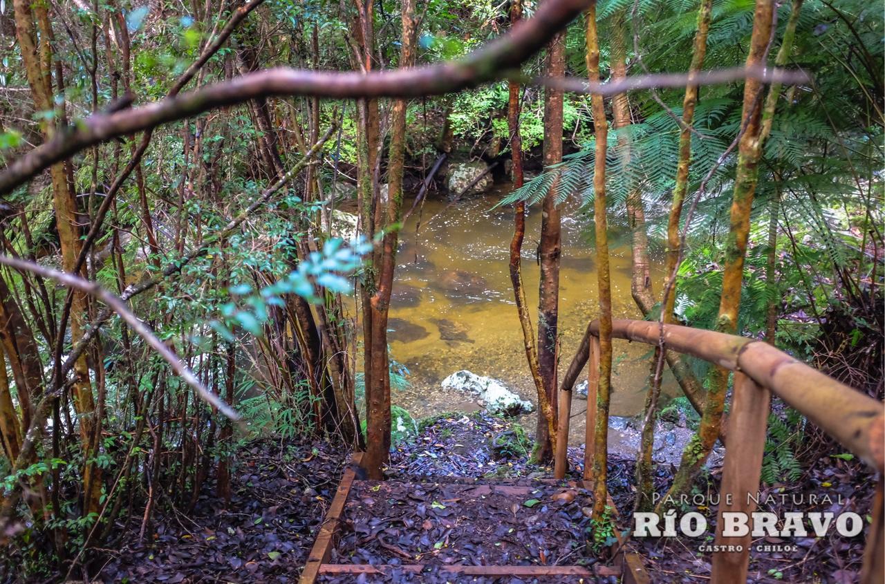 Parque Natural Rio Bravo Lodge 卡斯特鲁 外观 照片